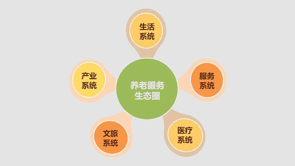打造養(yǎng)老數(shù)字化平臺 賦能養(yǎng)老行業(yè)規(guī)?；l(fā)展(圖10)